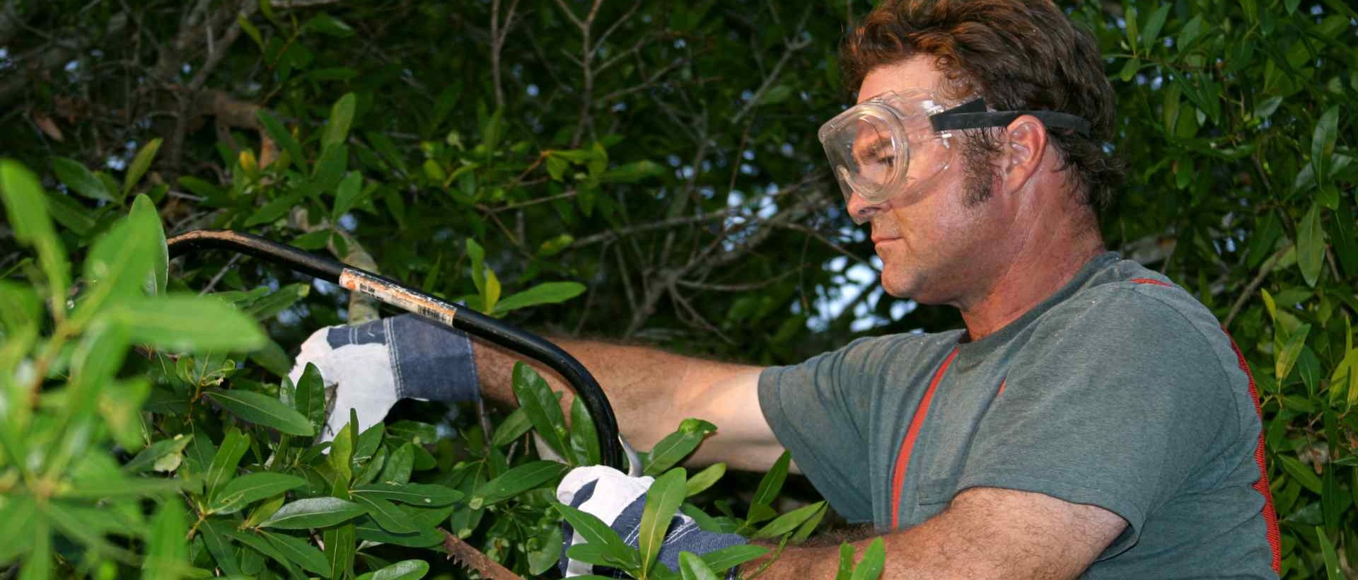 garden clearance TW5